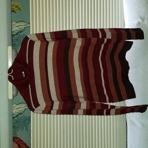 Burgundy Earthtones striped turtleneck